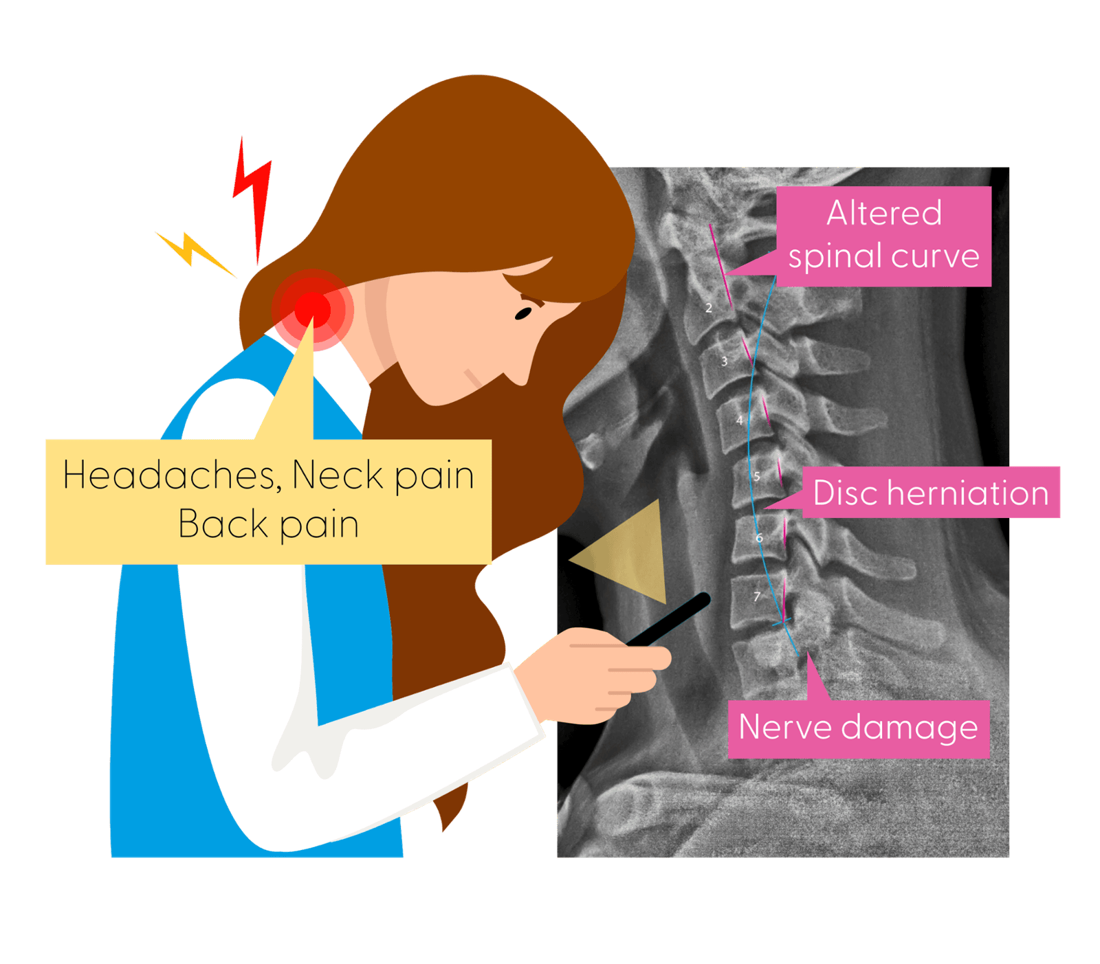 Healthy and Competitive Cyclist