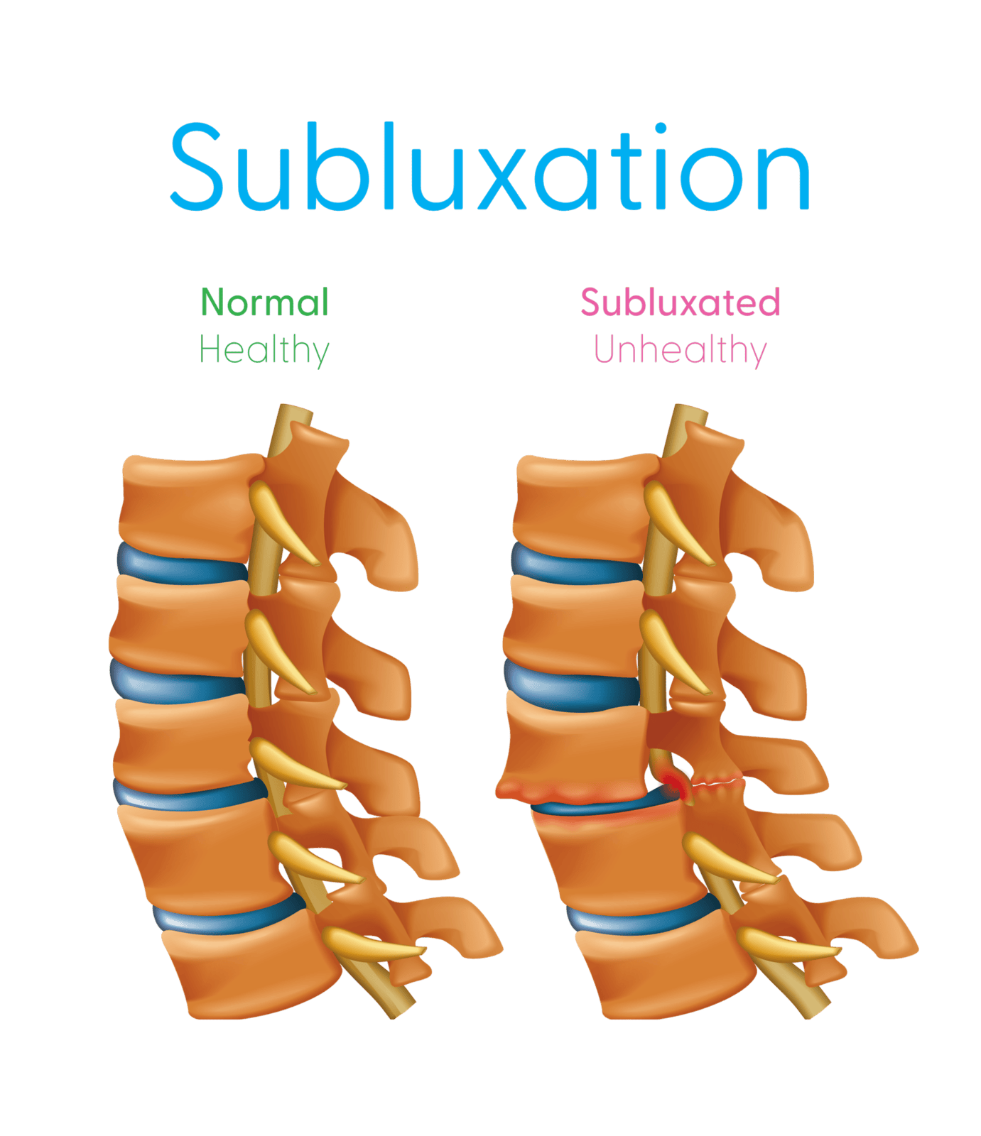 Healthy and Competitive Cyclist